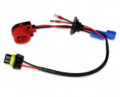 ���������� D2-Sho-me (4 ��������) (��� �������)+������ ������� ����� �������+�����������