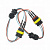 ProBright ���������� ��� TDRL ��� ���������� ���������